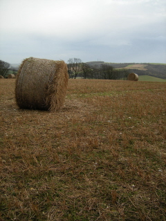 Littleton Down