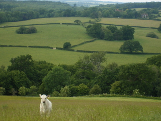 View from Tent Hill