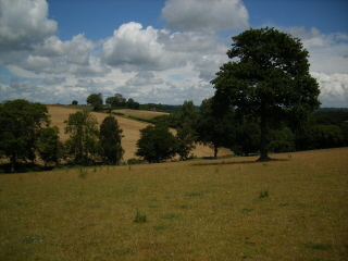 near Doleham