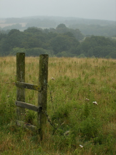 Redundant stile