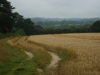 View near Vinhall Farm