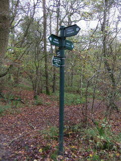 Finger post