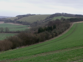 View eastwards