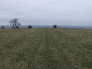 Track on Walbury Hill
