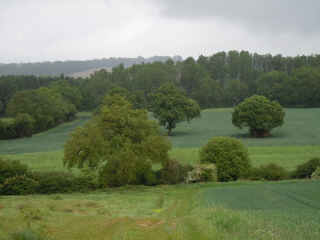 Arun Valley