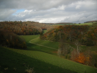 Arundel Park