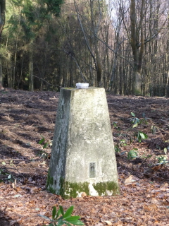 Trig point
