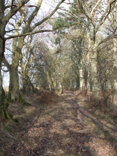 Bridleway