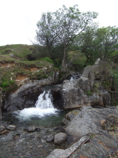 Torver Beck