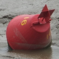Buoy
