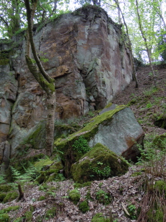 Old quarry