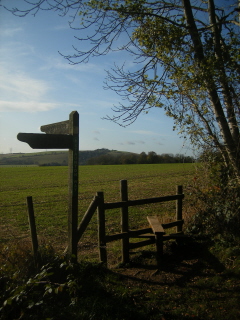 Queen Elizabeth Country Park