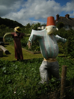 Scarecrows