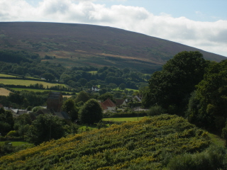 Wootton Courteny