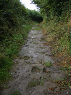 Bridleway