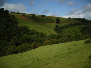 Putham