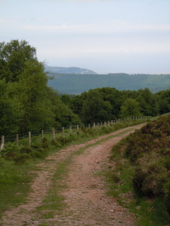Bridleway