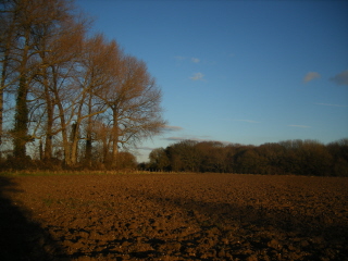 Field
