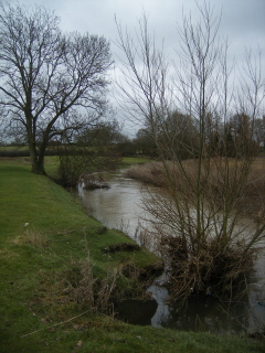 River Eden