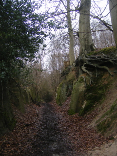 Bridleway