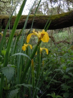 Nature Reserve