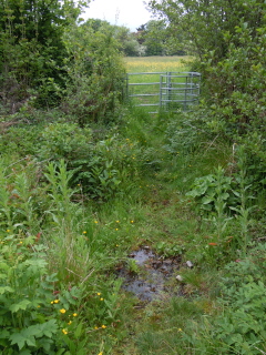 Len near source