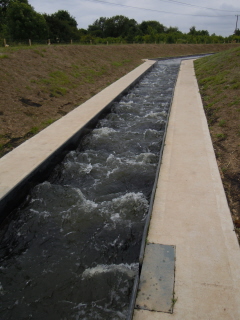 Fish and canoe bypass