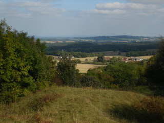 View from Heyshott Escarpment