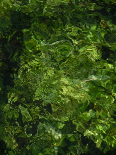 River Lavant