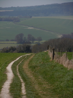 Lavant Valley
