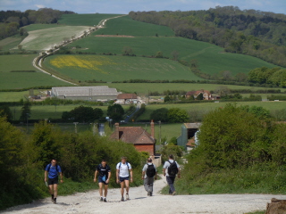 South Downs Way