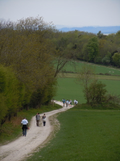 Charity walkers