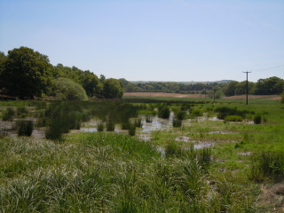 River Stor