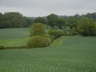 River Arun