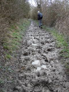 Bridleway, Wolstonbury Hill