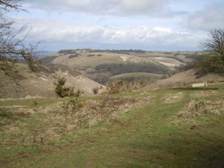 Newtimber Hill
