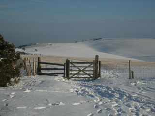 Top of Downs