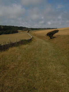 Approaching Birling Farm