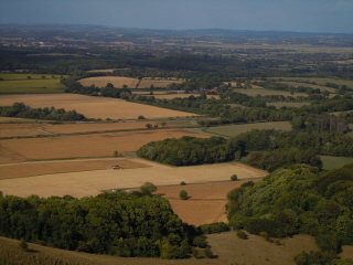 View over the weald