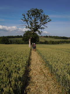 Approaching the A 22