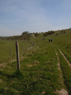 Stanmer Down