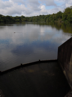 Balcombe Lake