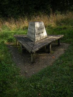 Bench