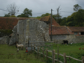 Dovecot