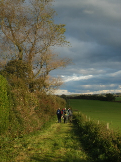Near Stonery Farm