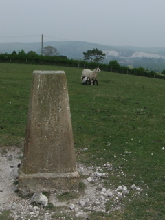 Trig point