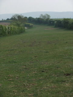 Old Lewes racecourse