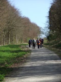 Friston Forest