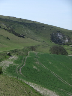 The Long Man