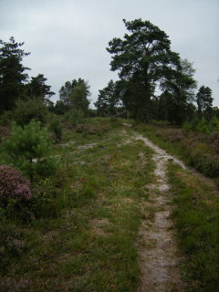 Chapel Common